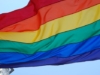 Las terapias aversivas y conversivas, ¿una medida “correctiva” hacia la homosexualidad?
