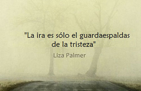 Frase Liza Palmer sobre la ira y la tristeza