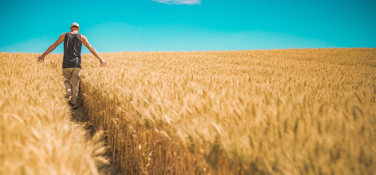 Masculinidad, cultura y el valor de mostrarse vulnerable